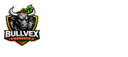 Site logo icon